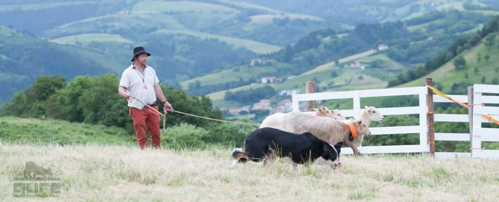 Connivence - Gure Sheep Dog Trial en Espagne